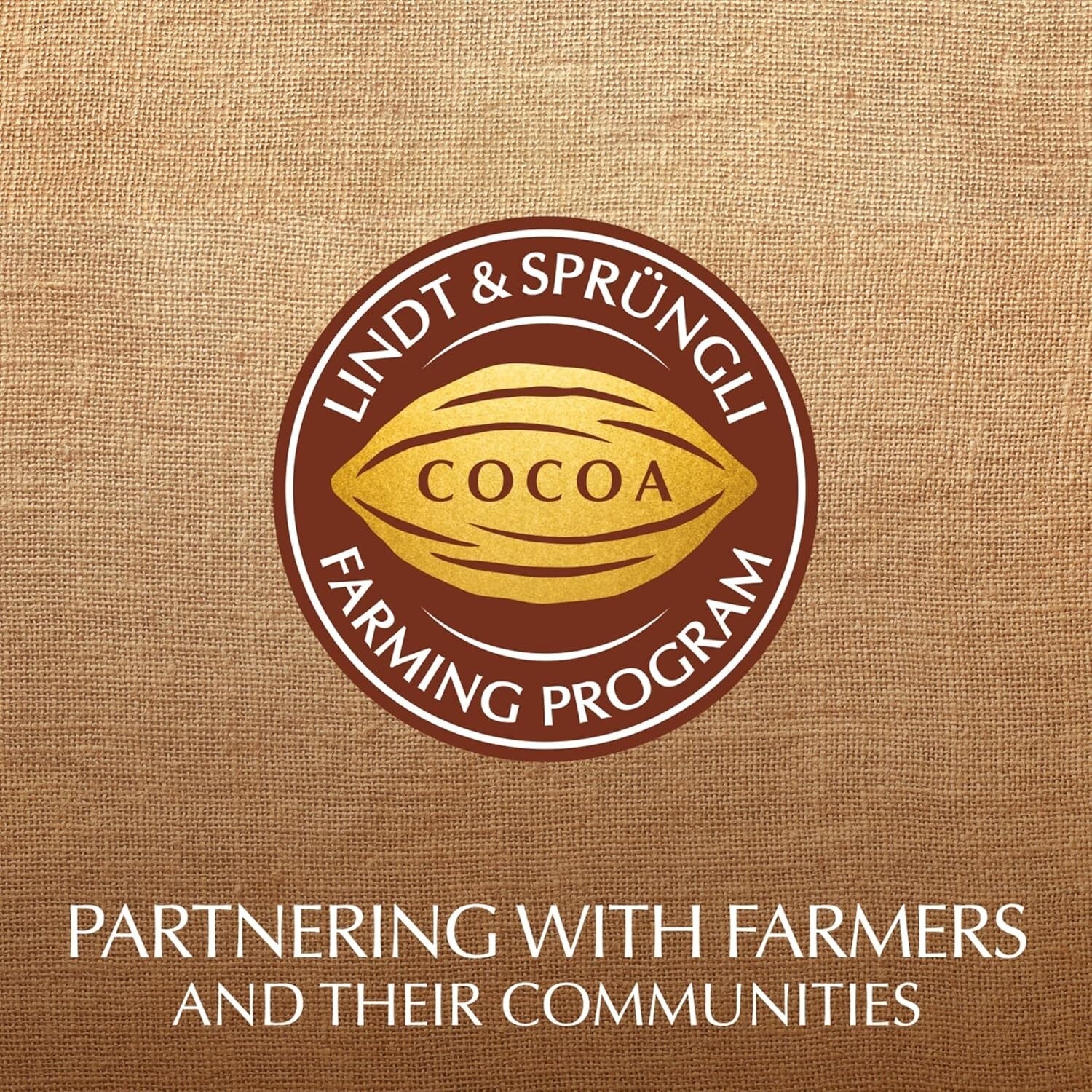 EXCELLENCE 90% Cocoa Dark Chocolate – Perfect for Pairing or Baking, 12 Bars