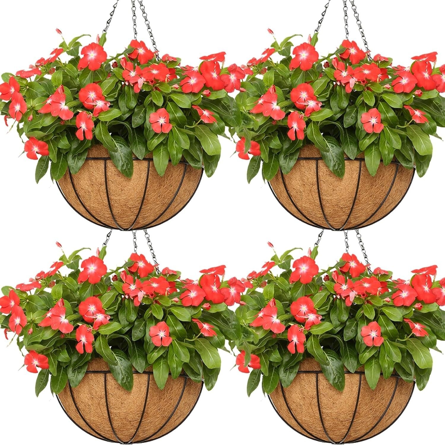 4-Pack 14" Rustic Hanging Baskets with Coco Liners for Vibrant Outdoor Plants