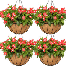 Load image into Gallery viewer, 4-Pack 14" Rustic Hanging Baskets with Coco Liners for Vibrant Outdoor Plants