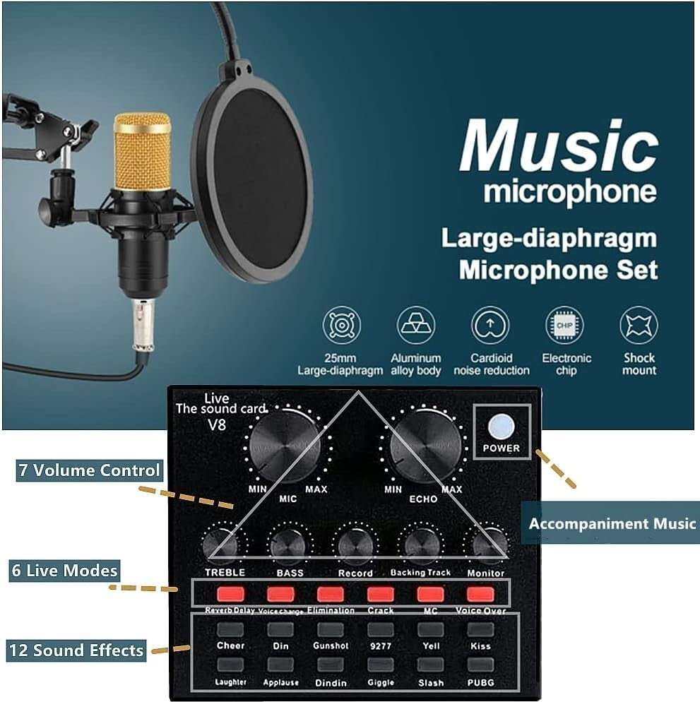 Professional Podcast Recording Bundle - BM-800 Mic, Live Sound Card & Effects