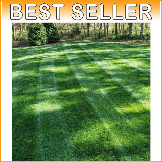 10 Lbs of Cold & Drought Tolerant Kentucky Bluegrass Seed - OptiGrowth Coated