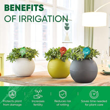 Load image into Gallery viewer, Multicolored 6-Pack of Automatic Plant Watering Globes – 200 ml Each for 7 Days