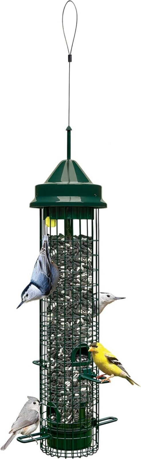 Durable Squirrel-Proof Bird Feeder: 4 Feeding Ports & 2.4 lbs for Birdwatching