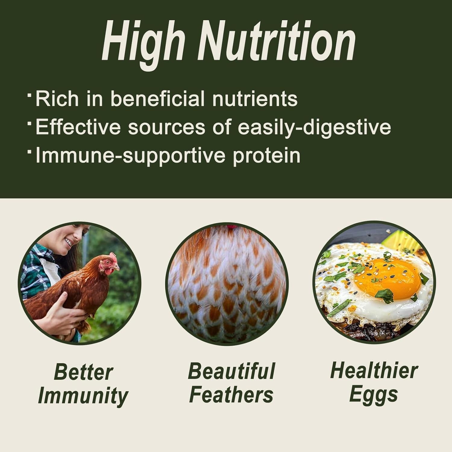 Sustainable 10LB Dried Black Soldier Fly Larvae - Premium Nutrition for All Pets