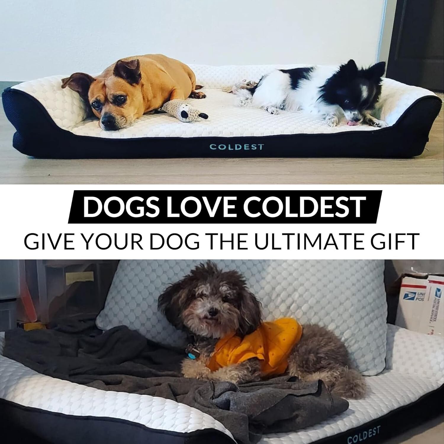 The Coldest Cozy - Medium Dog Bed with Cooling Gel, Anti-Slip & Water-Resistant