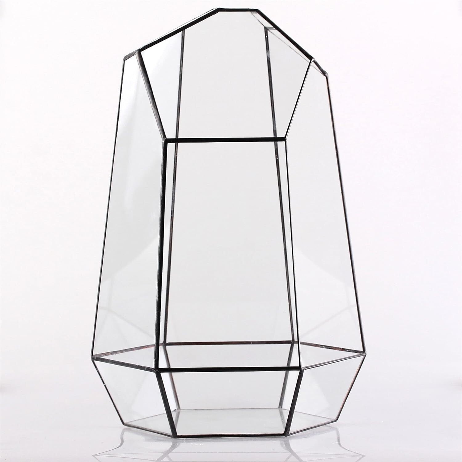 Eco-Friendly Large 16-Inch Terrarium - Irregular Shape for Unique Plant Displays