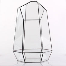 Load image into Gallery viewer, Eco-Friendly Large 16-Inch Terrarium - Irregular Shape for Unique Plant Displays