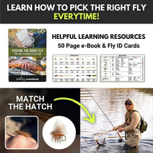 Load image into Gallery viewer, Versatile 40-Piece Fly Fishing Flies Set - Includes Dry, Wet, Nymphs &amp; Streamers