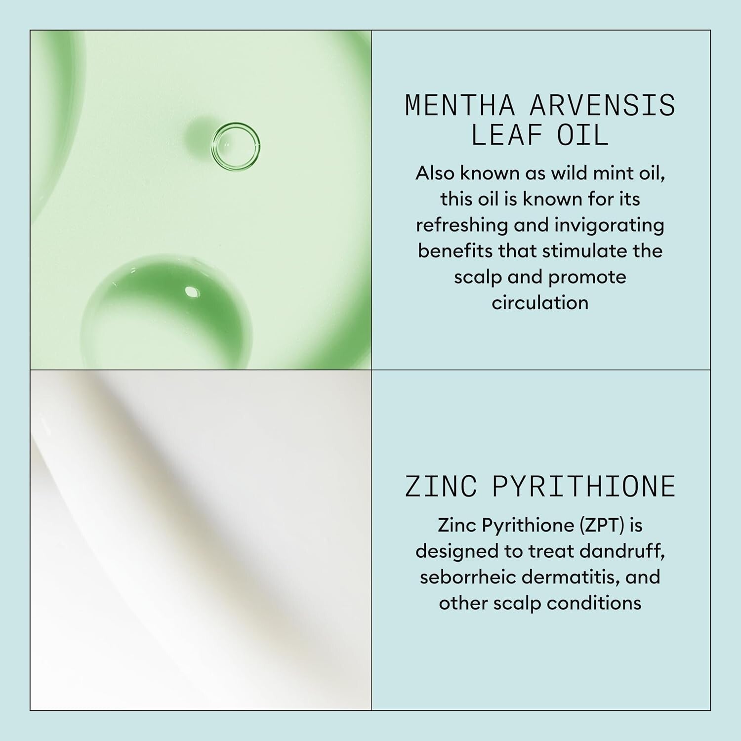 Scalp Recovery Anti-Dandruff Cream Shampoo with Pyrithione Zinc & Green Tea