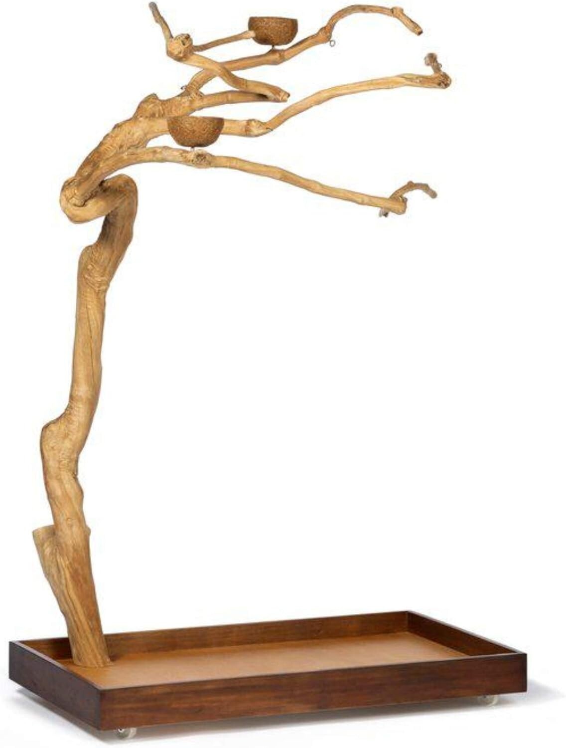 Medium Coffeewood Tree Playstand - Ideal for Cockatiels, Quakers, and Conures