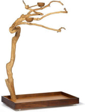 Load image into Gallery viewer, Medium Coffeewood Tree Playstand - Ideal for Cockatiels, Quakers, and Conures
