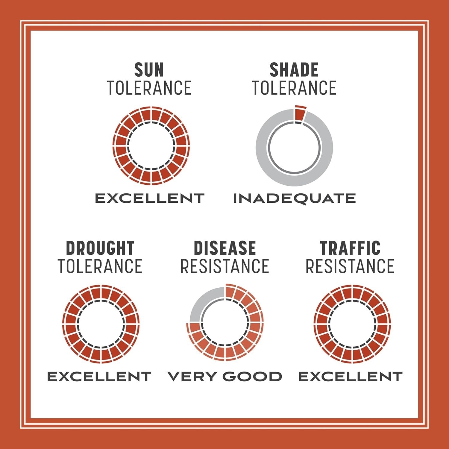 15 lb Premium Bermudagrass Grass Seed - Thrives in Full Sun & Low Mowing Needs