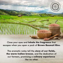 Load image into Gallery viewer, Extra Long Premium Brown Basmati Rice - 40lb Bulk for Restaurants &amp; Homes