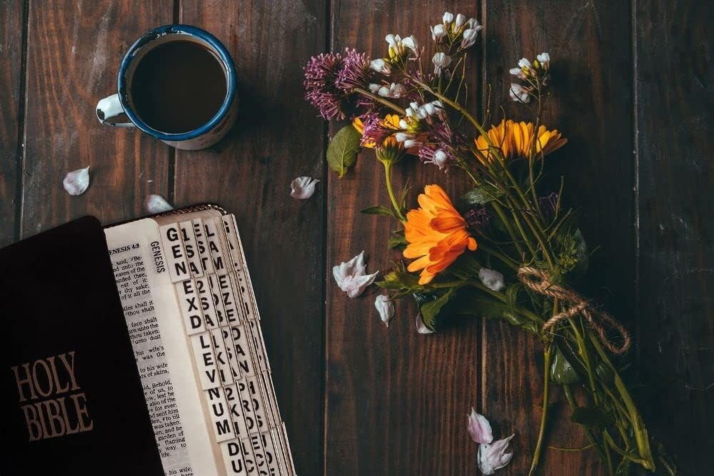 Large Print 96 Tabs with Gold Edge for Quick Bible Reference & Easy Navigation