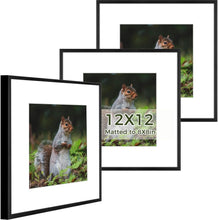 Load image into Gallery viewer, Contemporary 12x12 Metal Frames - Perfect for Engaging Gallery Wall Displays