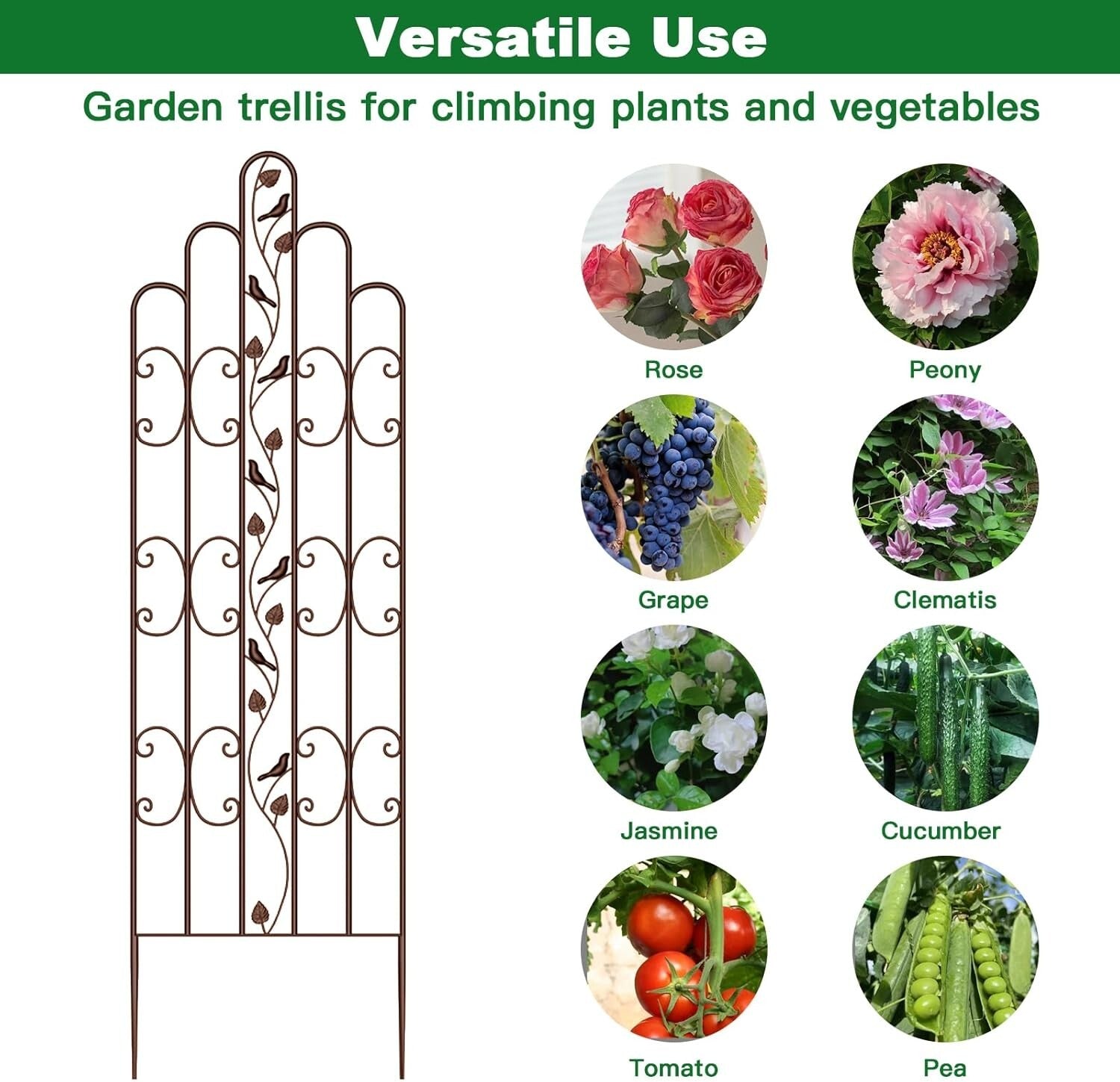 Durable & Decorative 2 Pack Garden Trellis - 71" Tall for Outdoor Beautification