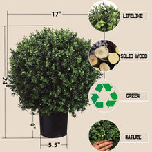 Load image into Gallery viewer, Maintenance-Free Boxwood Topiary Trees - 24" Stylish Decor for Every Space