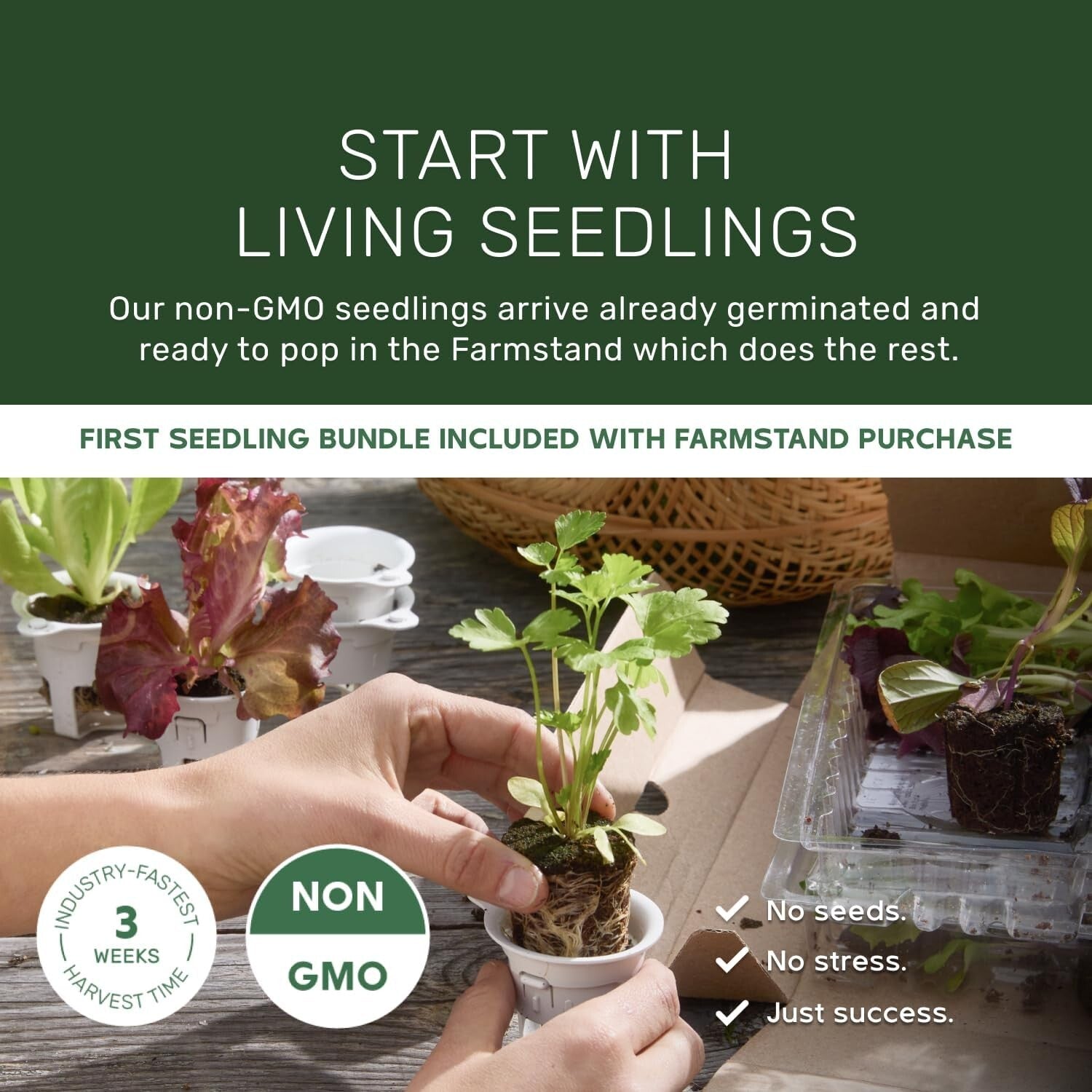 Medium Hydroponic Growing System with 24 Pre-Grown Plants - Self-Watering Tower