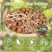 Load image into Gallery viewer, Versatile Organic Expanded Clay Aggregate for Enhanced Plant Growth &amp; Fertility