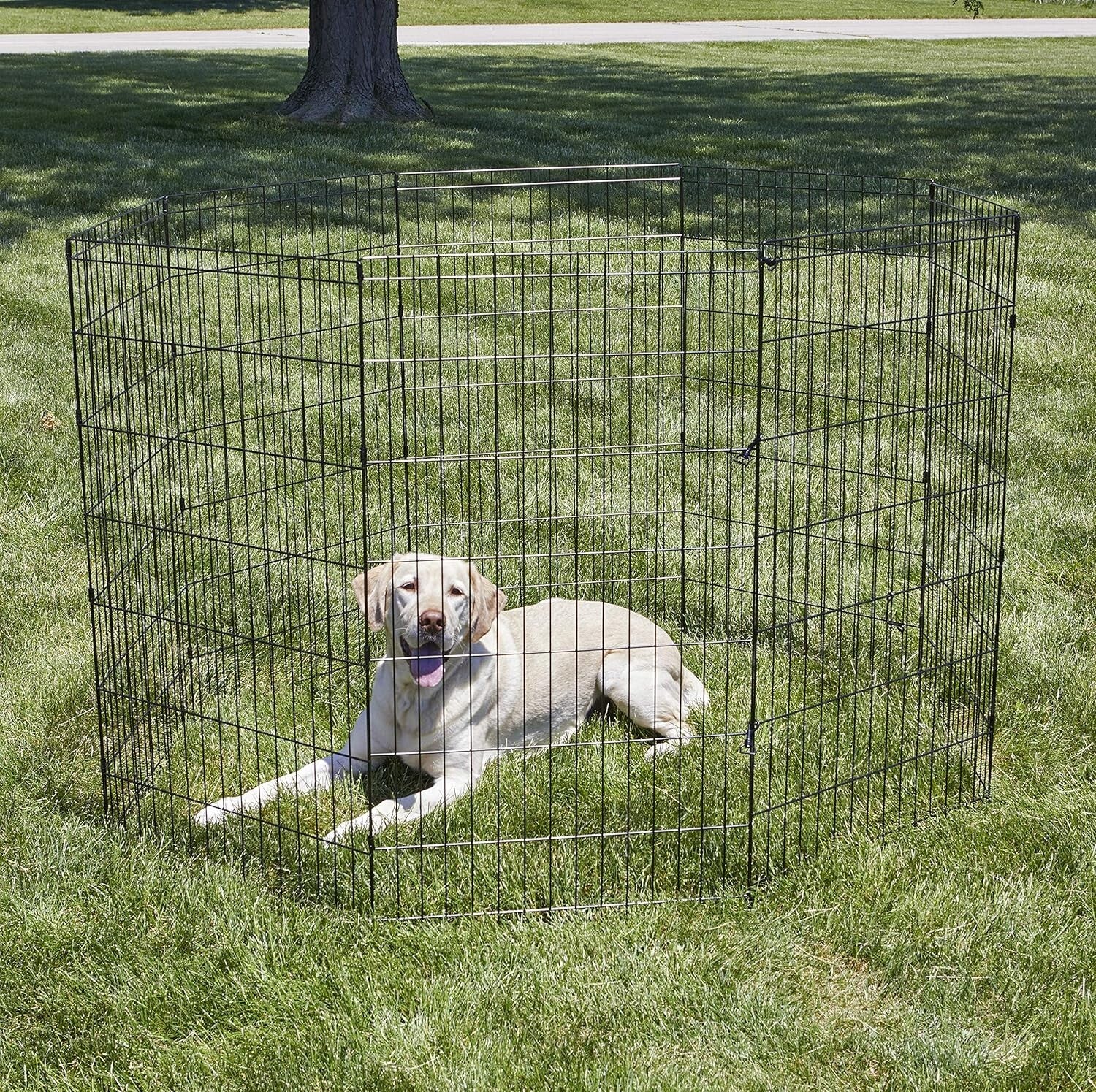 Large Metal Dog Exercise Pen with Ground Anchors - 16 Sq Ft Play Space