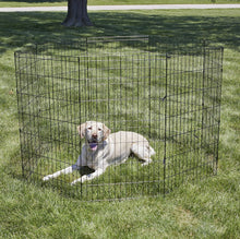 Load image into Gallery viewer, Large Metal Dog Exercise Pen with Ground Anchors - 16 Sq Ft Play Space