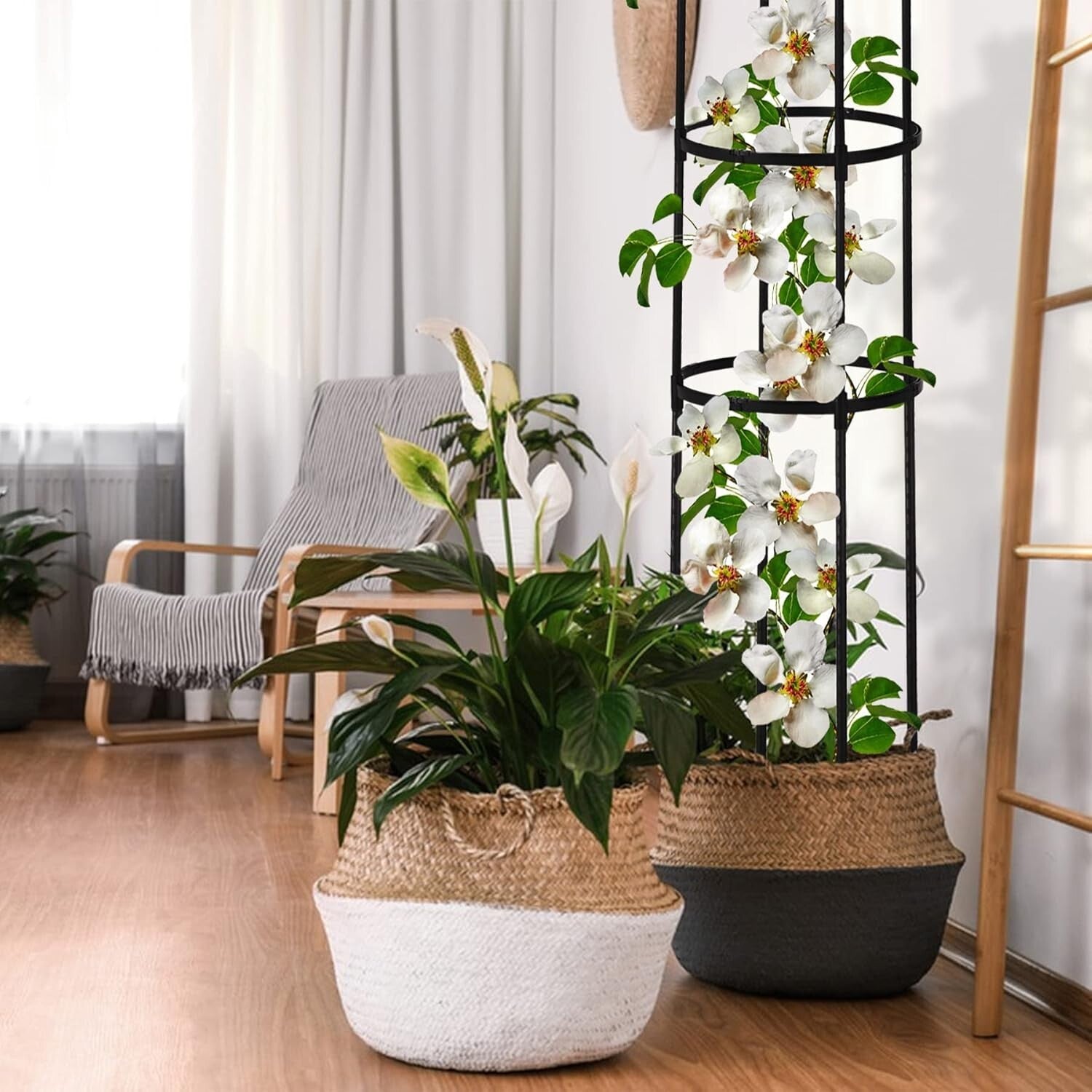 Durable 6ft Climbing Plant Trellis - Easy Installation for Indoor & Outdoor