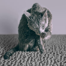 Load image into Gallery viewer, Heavy-Duty Waterproof Cat Litter Mat - Non-Slip &amp; Easy to Clean Absorbent Pad