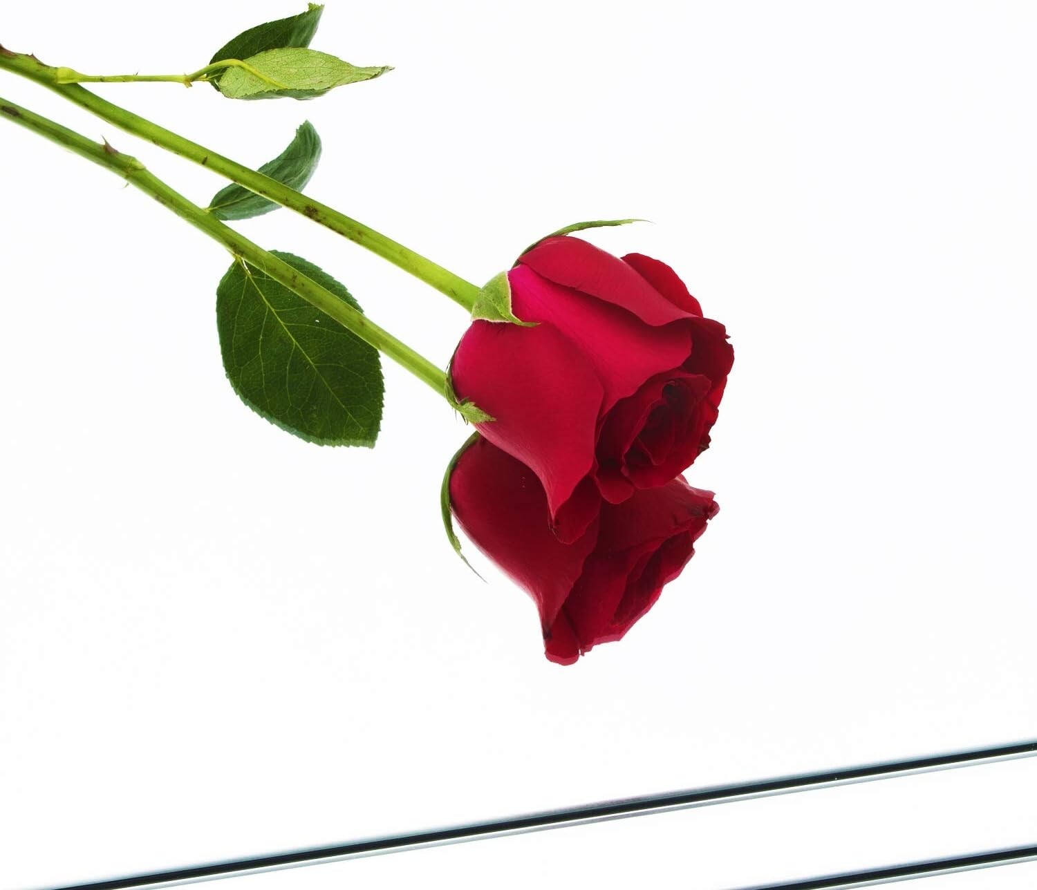 Frameless Mirror Tiles 12"x12" Set - Enhance Your Home Gym & Bedroom Elegance