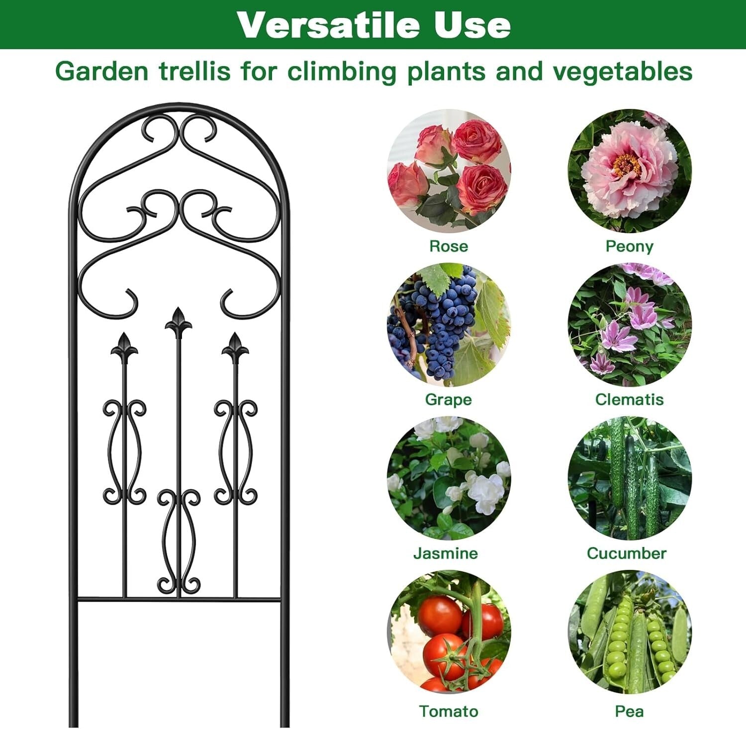 4 Pack 60" x 18" Black Metal Garden Trellis - Rustproof Climbing Plant Supports