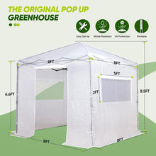 Load image into Gallery viewer, Spacious 8x8 ft Portable Greenhouse with Roll-Up Zippers for Ideal Growth