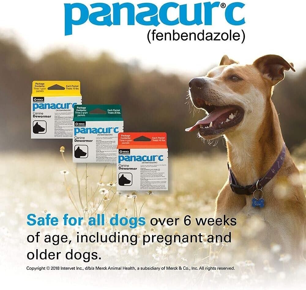 Comprehensive Canine Parasite Control – 4-Pack Panacur C Dewormer for Dogs