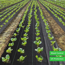 Load image into Gallery viewer, UV-Resistant Landscape Fabric - 3ft x 300ft Heavy-Duty Weed Barrier for Gardens