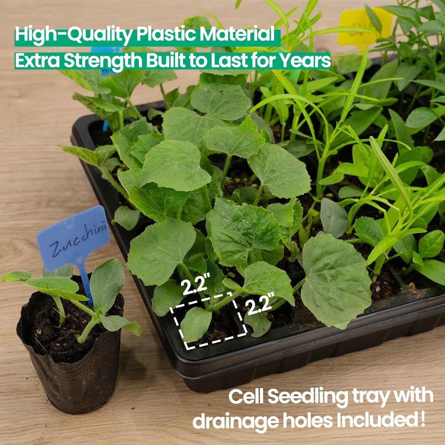 Heavy Duty Seedling Starter Kit with Heat Mats - Perfect for Herbs & Vegetables
