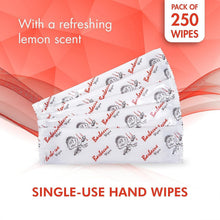 Load image into Gallery viewer, Travel-Friendly Extra Thick BBQ Wipes - 250 Individually Wrapped for On-the-Go