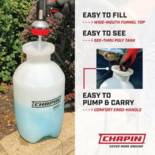 Load image into Gallery viewer, Chapin 2-Pack 2-Gallon Lawn &amp; Garden Sprayer with Anti-Clog Filter - White