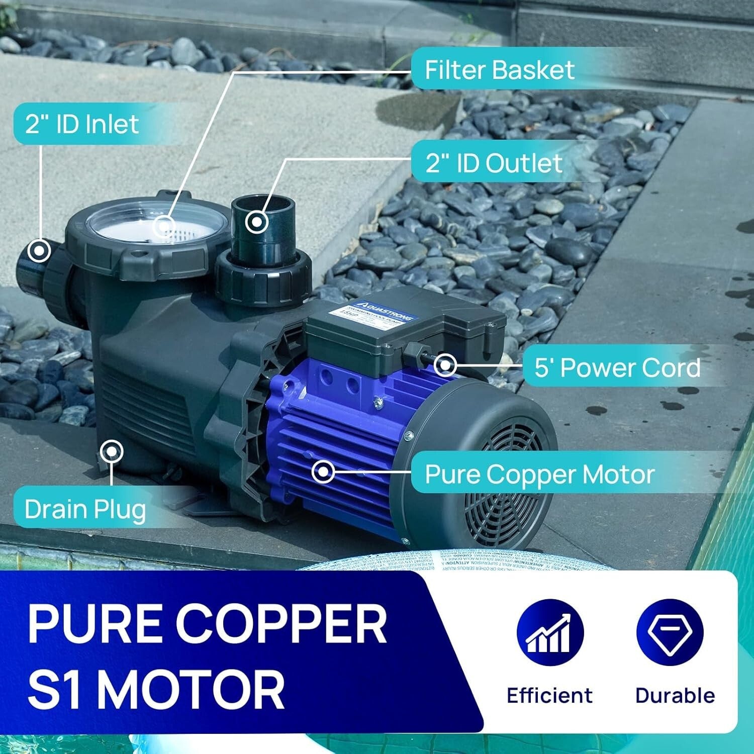 Efficient 1.5HP In/Above Ground Pool Pump - Plug and Play, Low Maintenance