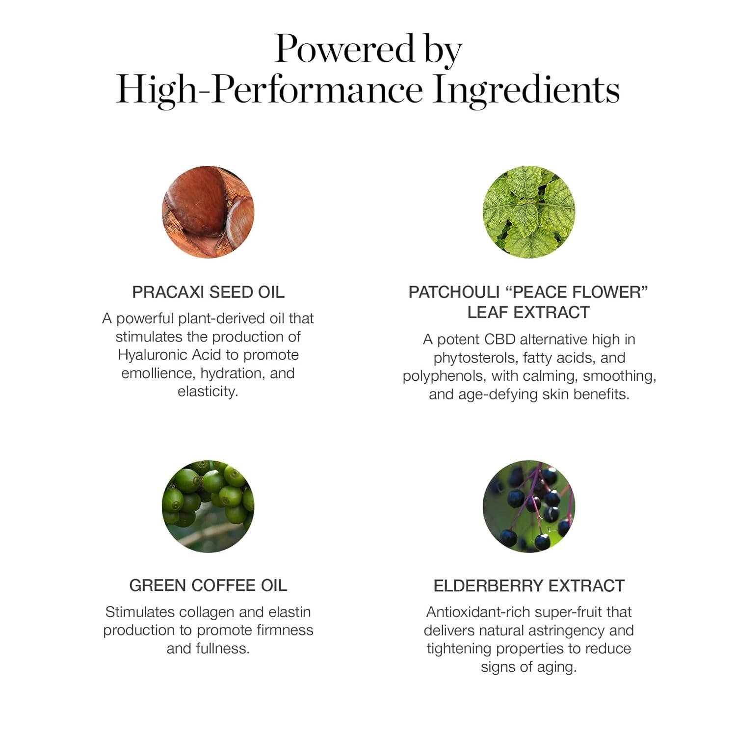 Sculpted Complexion Foundation Stick Hazel 2.00N - Organic, Full Coverage Makeup