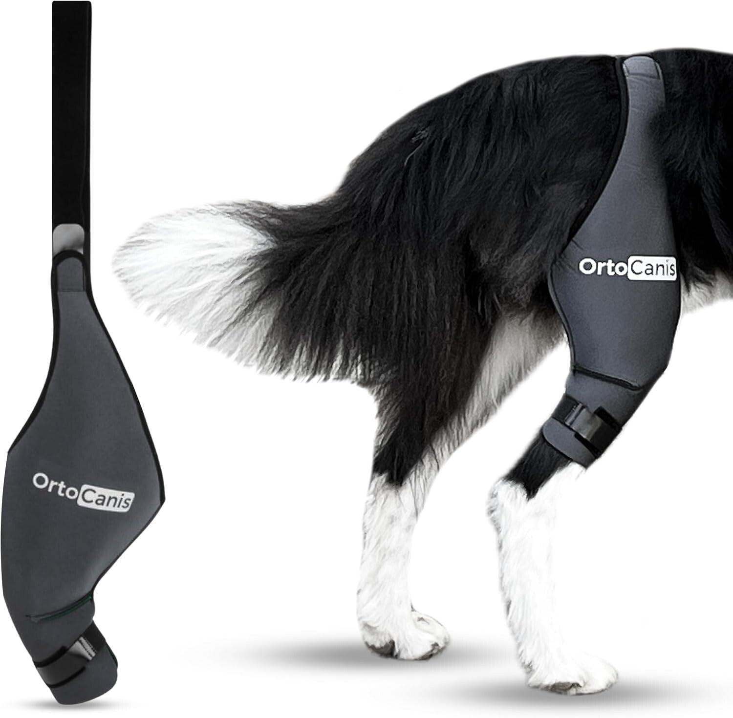 Veterinary-Quality Left Leg Dog Brace for ACL & Patella Support - Mini Size