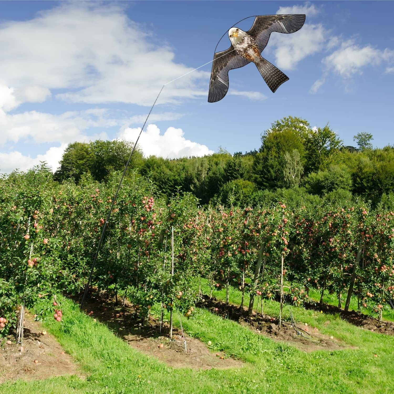 Durable 4m Pole Bird Scarer Kite - Scare Off Birds Safely & Effectively