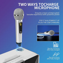 Load image into Gallery viewer, 20W Karaoke Machine for All Ages with Rechargeable Battery &amp; Colorful Lights