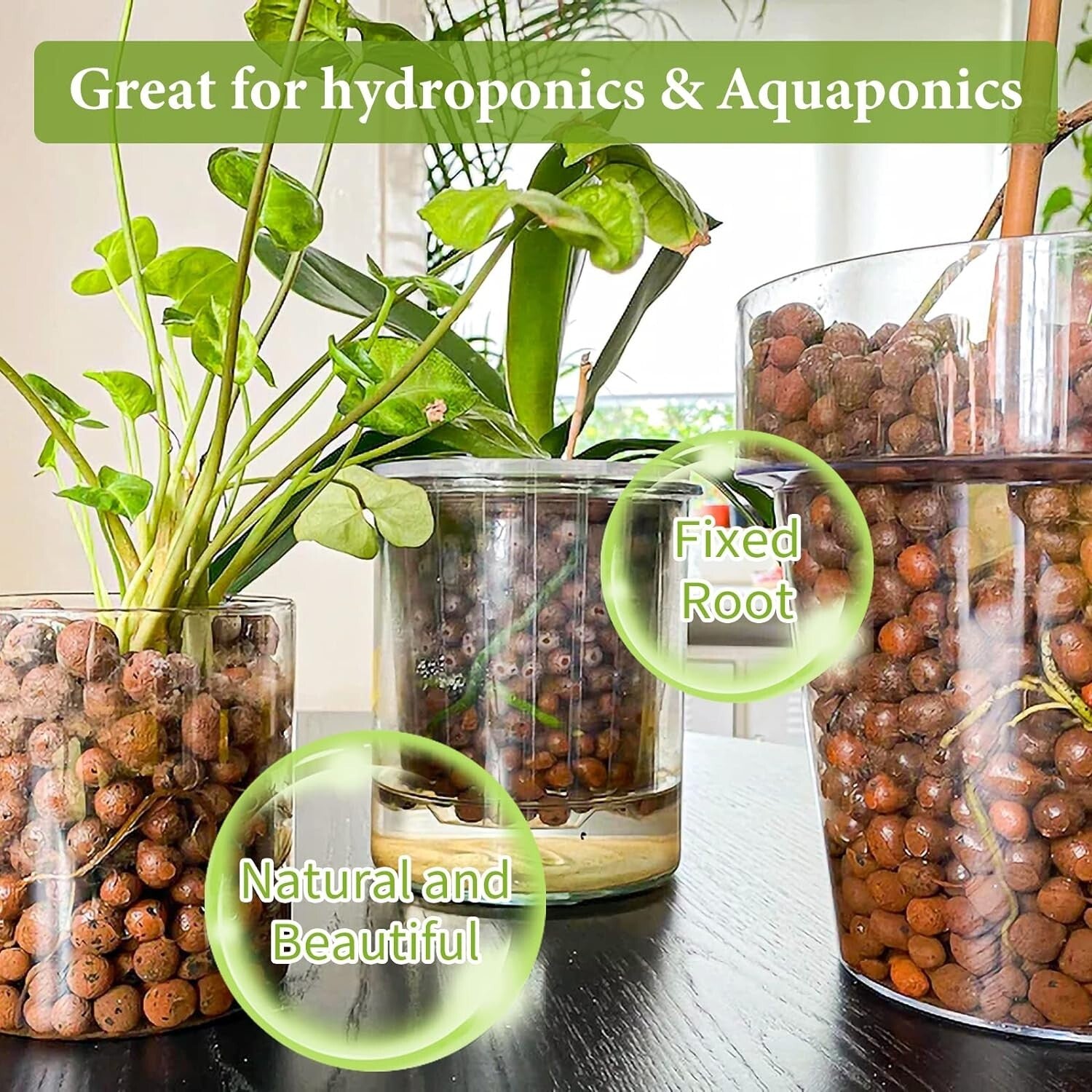 Versatile Organic Expanded Clay Aggregate for Enhanced Plant Growth & Fertility