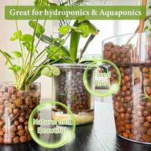 Load image into Gallery viewer, Versatile Organic Expanded Clay Aggregate for Enhanced Plant Growth &amp; Fertility