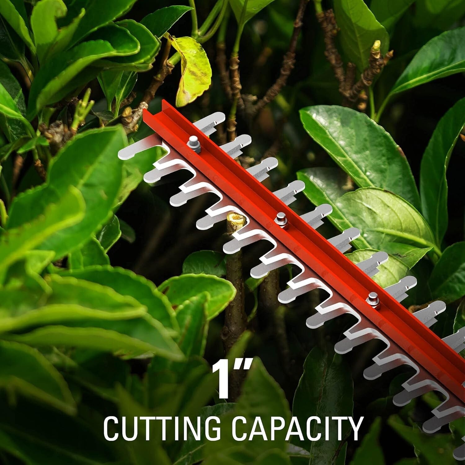 Environmentally Friendly 40V Cordless Hedge Trimmer - Ideal for Yard Maintenance