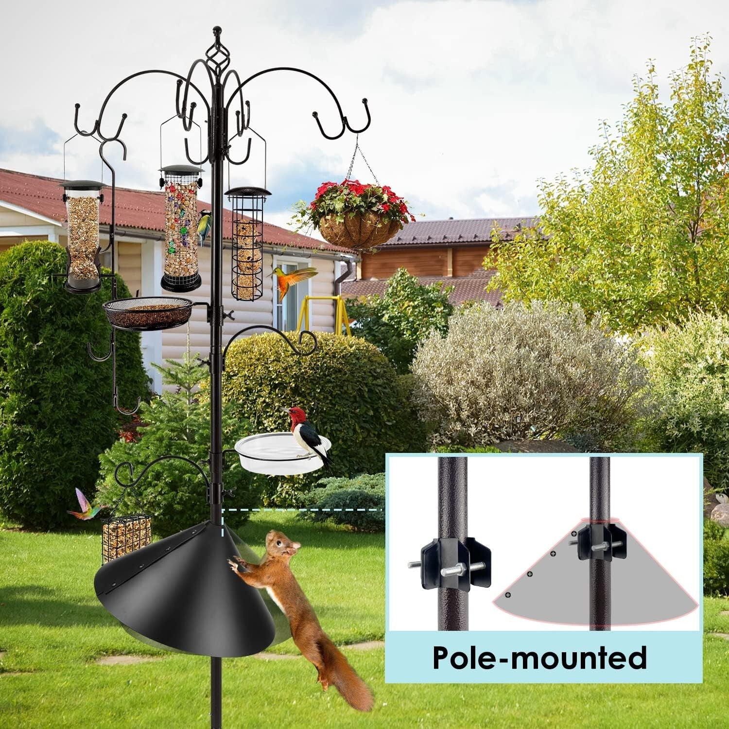 Attractive Bird Feeding Station Kit with Adjustable Hooks & Squirrel Baffle