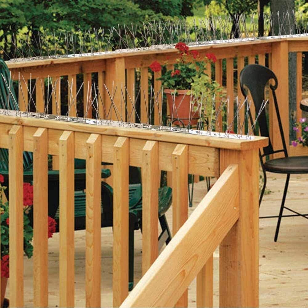 Durable Stainless Steel Bird Control Spikes - Flexible Fit for Any Surface