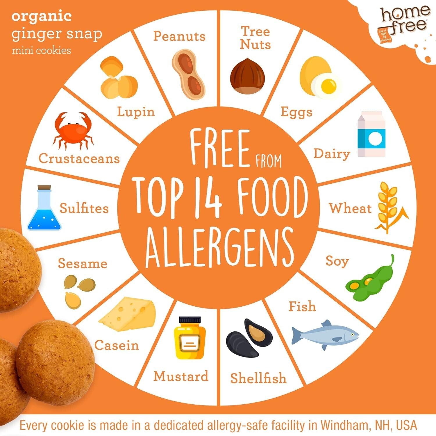 Delicious Vegan Ginger Snap Mini Cookies - Nut-Free, School Safe & 5 oz Packs