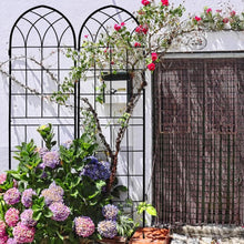 Load image into Gallery viewer, Elegant Rust-Proof Iron Arch - 71x20in Trellis for Outdoor Climbing Plants