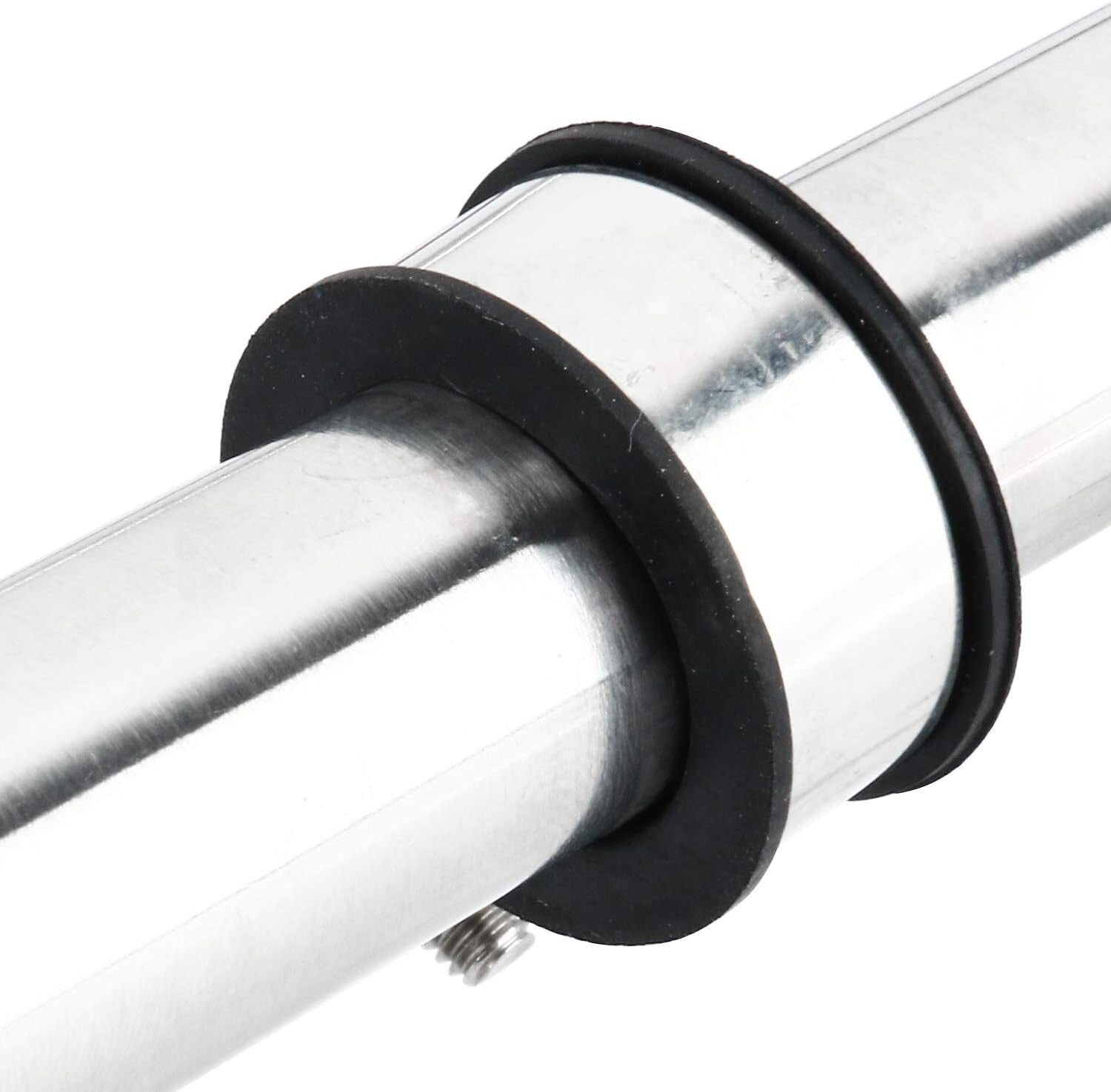 Weather-Resistant Stainless Steel Dual Trumpet Horn - 125db for Boats & Trucks