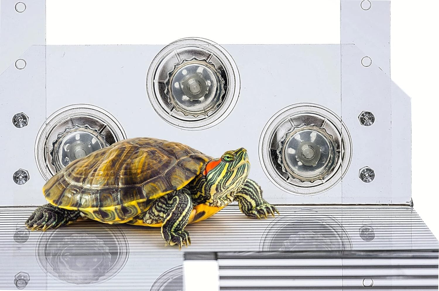 Adjustable Hanging Turtle Ramp - Modern Acrylic Basking Platform for Reptiles