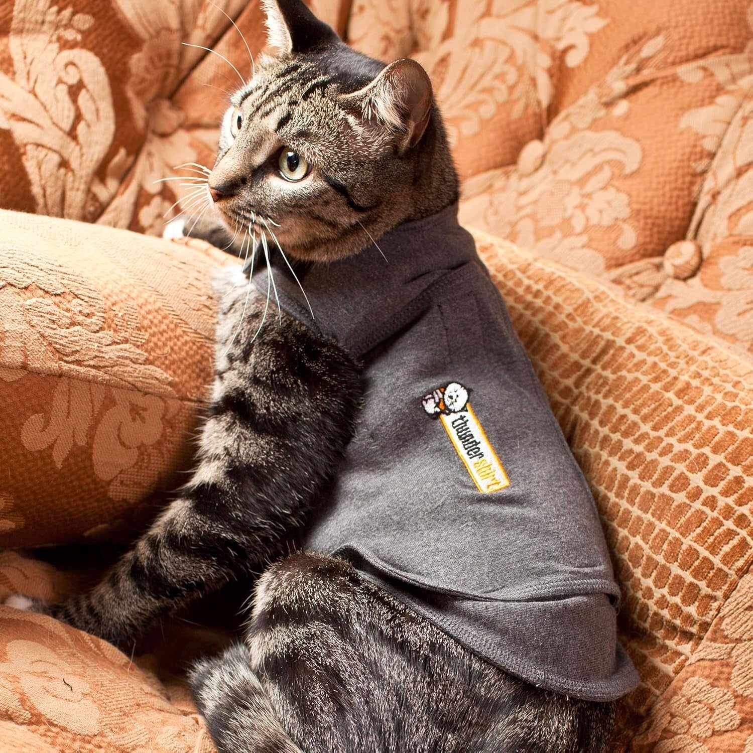 Gentle Pressure Cat Calming Vest - Medium Pet Anxiety Solution (9-13 lbs)